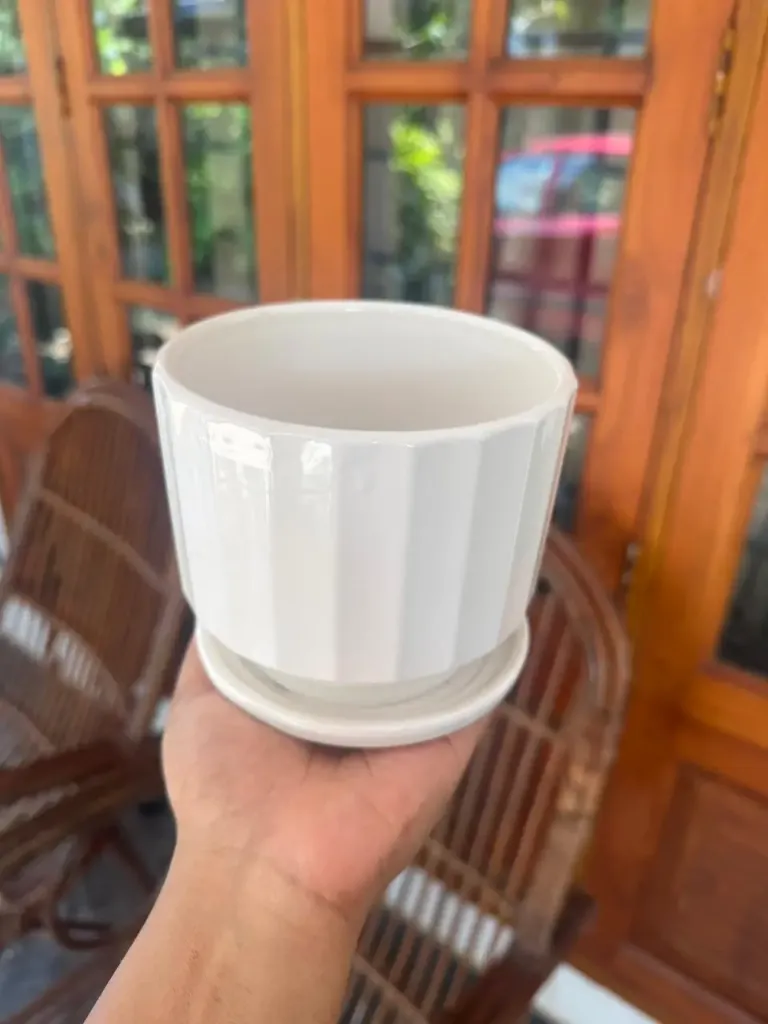 [PT803] Ceramic Pot TXS 404
