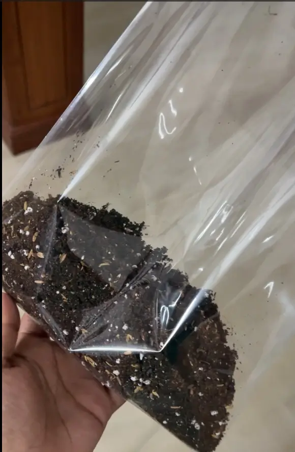 [FZ902] Roots Garden Potmix 1KG