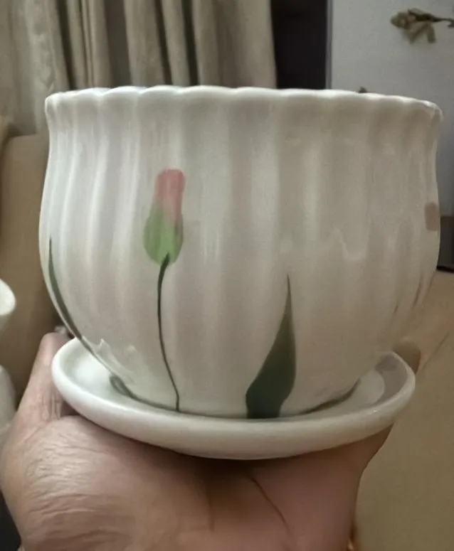 [PT802] Ceramic Pot TXS 481